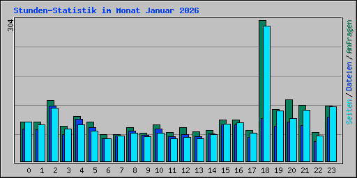 Stunden-Statistik im Monat Januar 2026